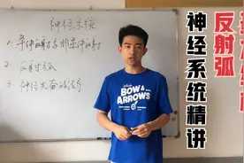 高中生物|神经系统精讲（一）|被针扎后是先痛还是先缩手？