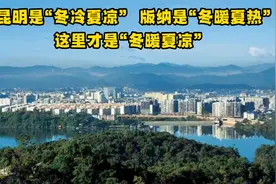 普洱才是云南真正的春城视频封面