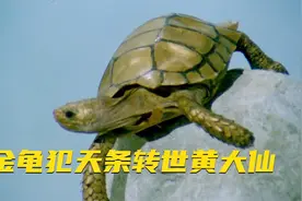 黄大仙出生之日雷雨交加，两名大将为他守门护法，不简单！视频封面