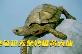黄大仙出生之日雷雨交加，两名大将为他守门护法，不简单！视频封面