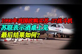 我国欲购买苏-27，苏联以酒量刁难，林虎将军：把他们喝翻视频封面