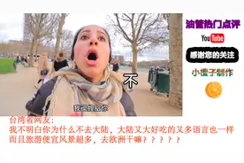 欧洲真的安全么？台湾省小伙欧洲旅游被妇女拦住不给钱不给走！视频封面