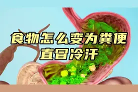 你每天吃进去的食物，是怎么变为粪便的？看得我直冒冷汗！视频封面
