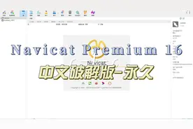 Navicat Premium 16 永久激活教程