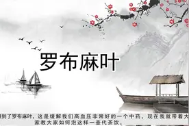 帮助降低血压代茶饮视频封面