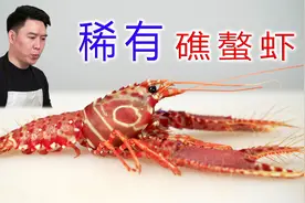 第一次吃这么漂亮的龙虾，西方礁螯虾，居然超级无敌好吃