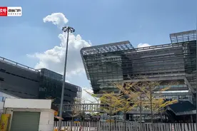 90分钟内出结果！香港跨境货车司机核酸检测提速！