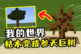 我的世界：枯木能够变大树？MC里的离奇事件，用灵魂沙复活枯木