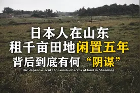 日本人在中国租了1500亩地，闲置5年被人耻笑，五年后让其折服。视频封面