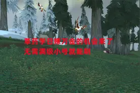 魔兽世界怀旧服：草药学日赚万金的机会来了，无需满级小号就能刷