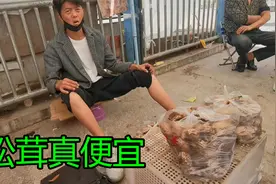 雅江是中国松茸之乡，当地人到处摆摊都是卖松茸，这价钱真便宜视频封面