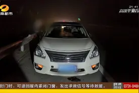 宠物犬跳车酿事故，把正常行驶小车撞漏油，犬主人负全责视频封面