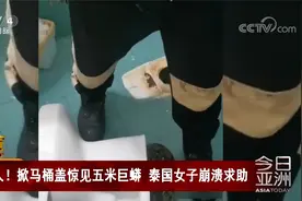 骇人！掀马桶盖惊见五米巨蟒 泰国女子崩溃求助视频封面