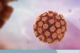 HPV的全称“人乳头状瘤病毒”，HPV感染途径有很多，日常要小心