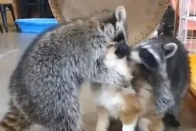 你们说的这是什么话 什么叫给你乐一个 当我是什么狗了