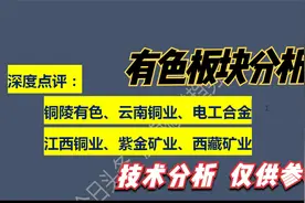 点评： 铜陵有色 云南铜业 电工合金 江西铜业 紫金矿业 西藏矿业视频封面
