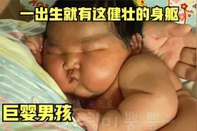 一出生就有这健壮的身躯的婴儿，体重更是达到12斤，被称之巨婴视频封面