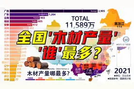 全国木材产量谁最多？广西：跑着跑着，两边的人哪去了~视频封面