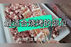 烧烤猪身上哪个部位最适合烧烤你选对了吗？小刘哥教你烤猪肉串视频封面