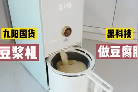 用九阳豆浆机可以做豆腐脑？30分钟全自动运行，配料简单到极致视频封面