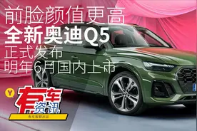 前脸颜值更高 全新奥迪Q5正式发布 明年6月国内上市