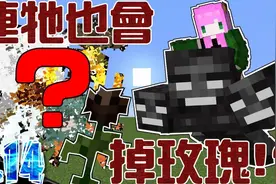 我的世界禾卯：连它也会掉落凋零玫瑰！？玫瑰获取方法大公开！