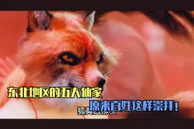第一集：民间传说东北有五大仙家，狐黄白柳灰，谁都不敢得罪他们