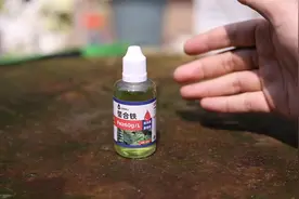 养花黄叶怎么办？园艺师教你，用螯合铁，花卉通用治疗黄叶视频封面