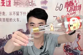 试喝汾酒黄盖玻汾，为什么会叫它夺命53？视频封面
