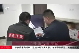 半夜传来狗叫，监控中却不见人影，他用什么办法连偷数辆车？视频封面