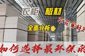 哪种板材做衣柜最好，为什么大品牌都用颗粒板，全面分析视频封面
