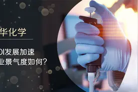 万华化学，化学领域龙头企业，发展前景如何？视频封面