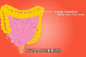 你有便后用水洗屁股的习惯吗？长期不洗的人，可能会有这4个后果视频封面