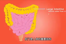 你有便后用水洗屁股的习惯吗？长期不洗的人，可能会有这4个后果视频封面