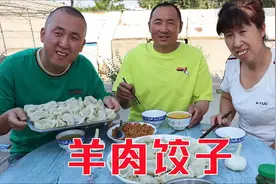 去地里割韭菜，和老妈联手包羊肉饺子，鲜嫩多汁，吃起来真过瘾视频封面