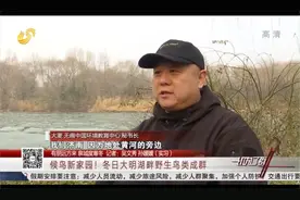 50年最冷济南大明湖结冰，湿地野鸟咋过冬？山东卫视1月24日报道视频封面