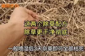 用这两个除草配方，喷施后所有绿色植物一棵不剩，死草彻底不反弹视频封面