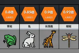 做比较：各种动物的视力视频封面