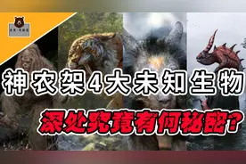 神农架4大目击事件，相传“过山黄”似虎似豹，究竟是什么来头？视频封面