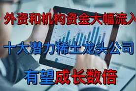 A股未来五年有望成长数倍的十大潜力稀土龙头公司！视频封面