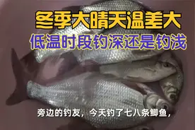 冬季大晴天低温时段,钓深水还是钓浅水?试钓结果让老钓友都会意外