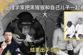 野生动物生下来就能走路，为什么人类幼崽毫无生存能力？很难养？视频封面