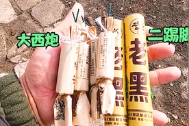 用4个大西炮，2个二踢脚，小伙挑战南方大西炮和东北二踢脚比响！视频封面