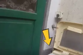 吓人！女子洗衣服，洗衣机里洗出一条蛇视频封面