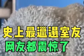 最惨大学生，被室友的脚气折磨得死去活来视频封面