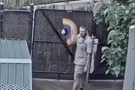 实力抢镜!动物园开启直播模式之后 一位在线热舞的饲养员火了视频封面