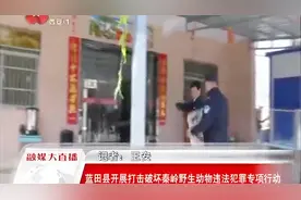 蓝田县公安局森林分局开展打击破坏秦岭野生动物违法行为视频封面