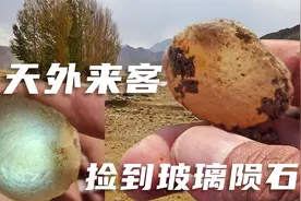 运气爆棚，荒野捡石头捡到来自外太空的珍宝
