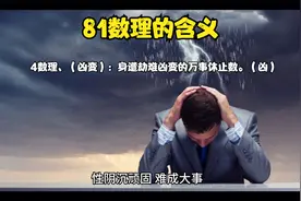 81数理的含义视频封面