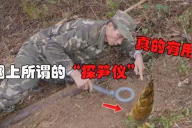 网上所谓的“探笋仪”真的有用吗？号称冬笋收割机，效果到底如何视频封面